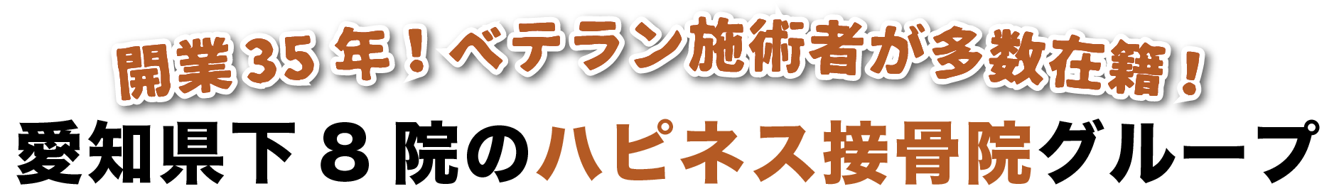 開業35年!ベテラン施術者が多数在籍!愛知県下8院のハピネス接骨院グループ
